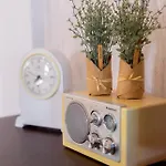 Kaya Апартаменты *