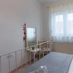 Kaya * Pola